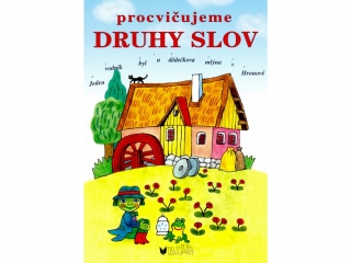 Procvičujeme druhy slov