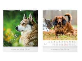 Kalendář nástěnný 2021 Dogs