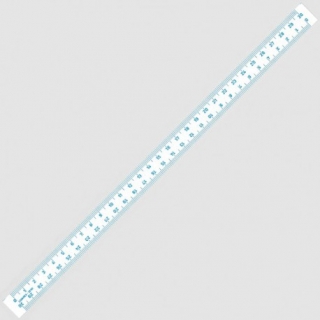 Měřítko tištěné 30cm PVC